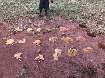 Gotta have the right sand to filter the water so that it is potable.