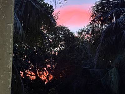 Beautiful sunsets!